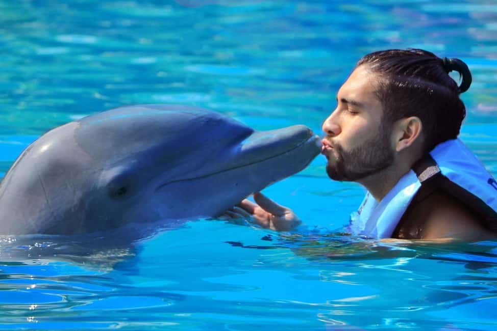 Punta Cana: Dolphin Interaction Experience & Hotel Transfers - Practical Packing Tips for a Smoother Day