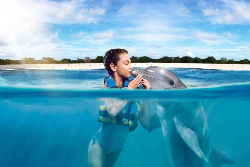 Punta Cana: Dolphin Interaction Experience & Hotel Transfers - Choosing Your Dolphin Program: Platform Interactions vs. Royal Swim