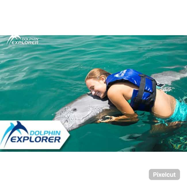 Punta Cana: Dolphin Park Entry and Swim with Dolphins - Key things to know before you go