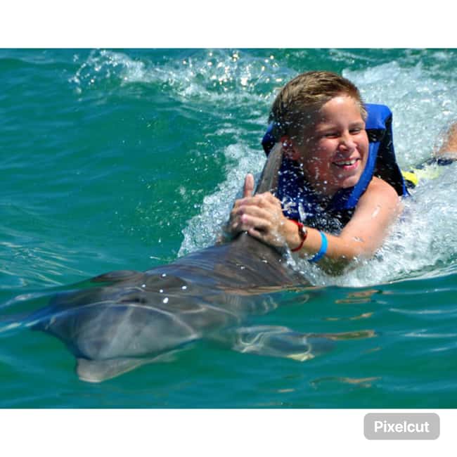 Punta Cana: Dolphin Park Entry and Swim with Dolphins - How This Punta Cana Dolphin Park Visit Fits Into 1 Hour