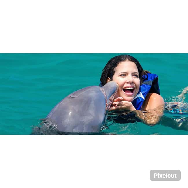 Punta Cana: Dolphin Park Entry and Swim with Dolphins - Swimming With Dolphins: Handshakes, Splashes, and Side-By-Side Moments
