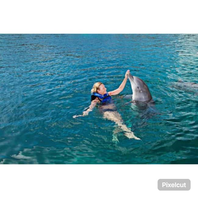 Punta Cana: Dolphin Park Entry and Swim with Dolphins - The Orientation: Where the Safety Rules and Dolphin Behavior Click