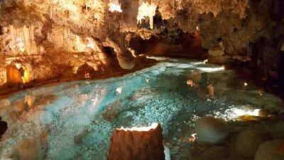 Punta Cana: Dominican Flavors Guided Day Trip - Vega Fina cigar factory: from tobacco leaves to rolling and packing