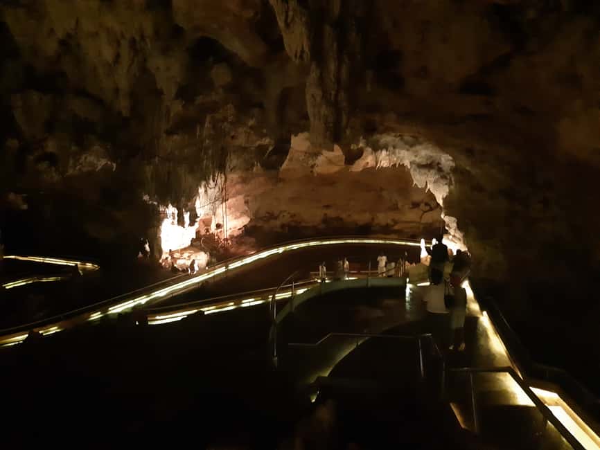 Punta Cana: Dominican Flavors Guided Day Trip - Timing, transfers, and the real logistics from Punta Cana
