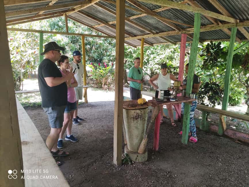 Punta Cana: Dominican Republic Culture Tour - Price and value: how $31 stacks up for a full-day mix
