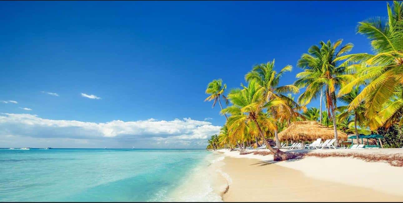 Punta Cana : Done Buggy Excursions AtV /cenote on the Beach - Key highlights I’d plan around