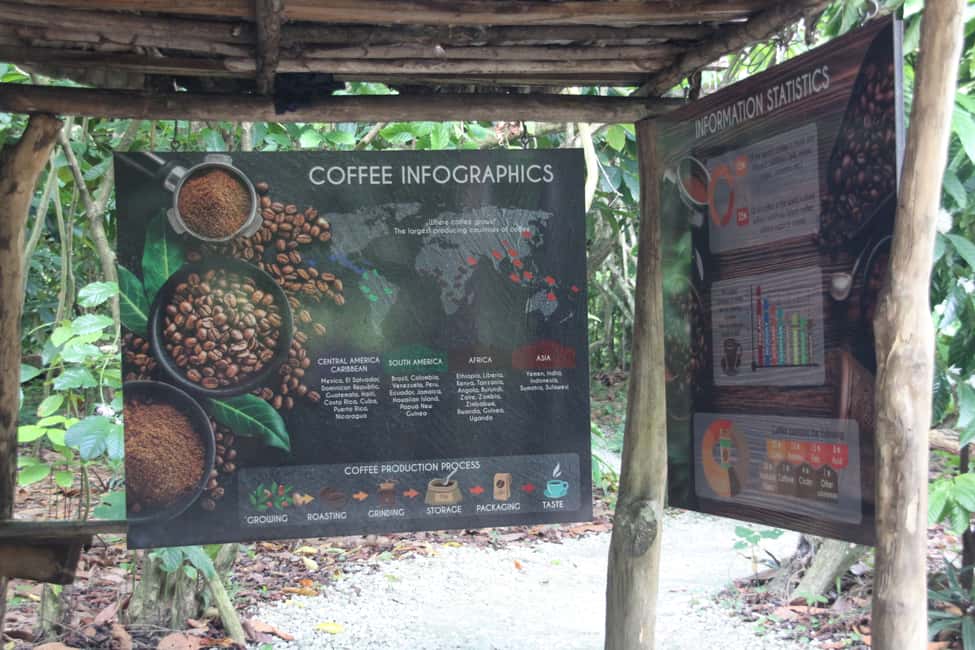 Punta Cana E-bike tour: Macao, El Salado, Ceiba, El Caño - On the bikes: e-bike vs normal bike and what 15 km really means