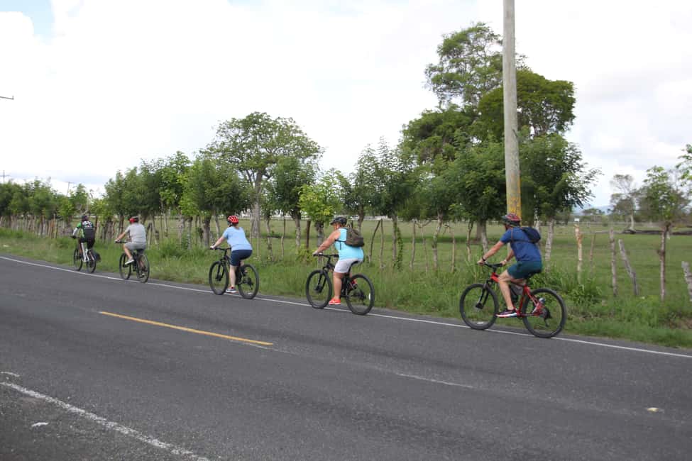 Punta Cana E-bike tour: Macao, El Salado, Ceiba, El Caño - Who should book this e-bike tour, and who should skip it