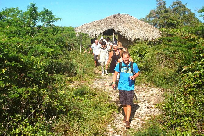 Punta Cana: Eco Jungle Tour - Getting started in Bayahibe: 7:00 am, pickup, and the small-group rhythm