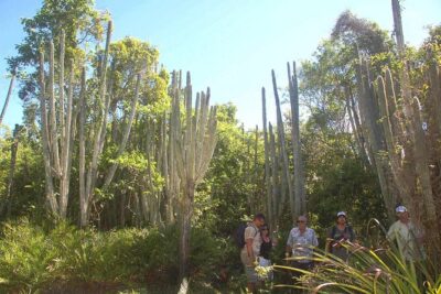 Punta Cana: Eco Jungle Tour - Cueva de Chicho: freshwater cave water and the best kind of break