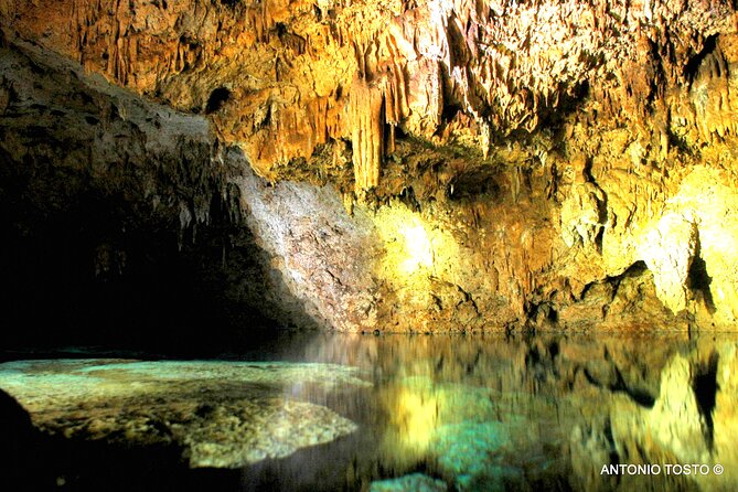 Punta Cana: Eco Jungle Tour - Rio Chavon riverboat ride to Yuca Yena farm: scenery plus hands-on culture