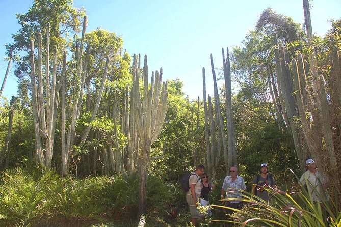 Punta Cana: Eco Jungle Tour - Cueva de Chicho: freshwater cave water and the best kind of break