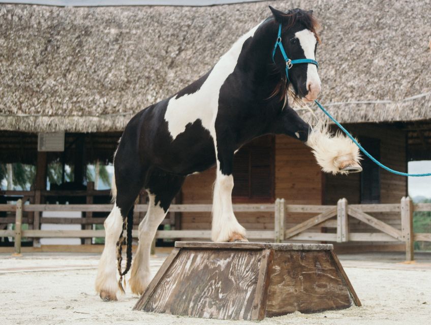 Punta Cana: Eco Park Safari Adventure - Exploring At Your Own Pace (Without Losing The Day)