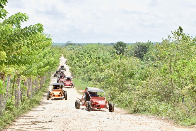 Punta Cana: Ecological Adventure in Buggies from Santo Domingo - Your buggy setup: choosing between 2–4 seats and a simpler ride