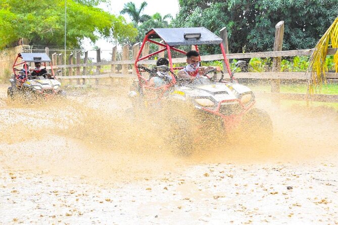 Punta Cana Family Buggy; cave pool, beach, coffee tasting - Coffee and Chocolate Tasting: Local Flavor, Straightforward Fun
