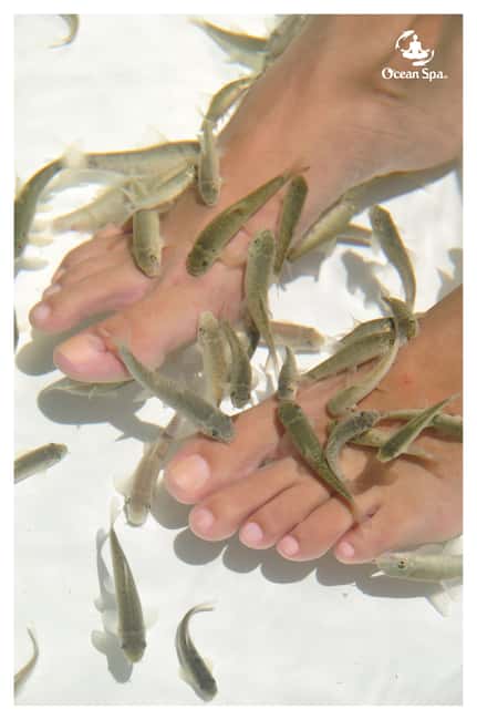 Punta Cana Floating Ocean Spa Experience with Massage & Yoga - Price and value: what you’re really paying for