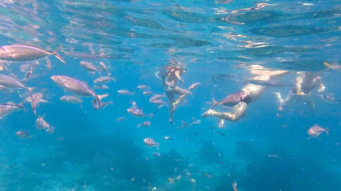 Punta Cana: Full-Day Snorkeling Tour to Catalina Island - Key Takeaways Before You Go