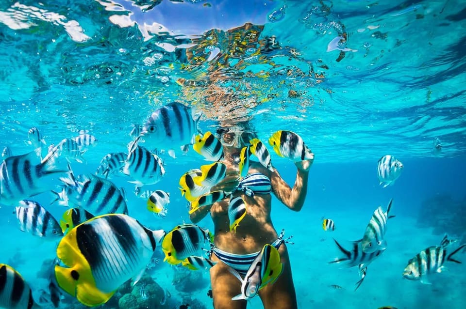Punta Cana: Full-Day Snorkeling Tour to Catalina Island - Pacing for an 8-Hour Day: What the Schedule Feels Like