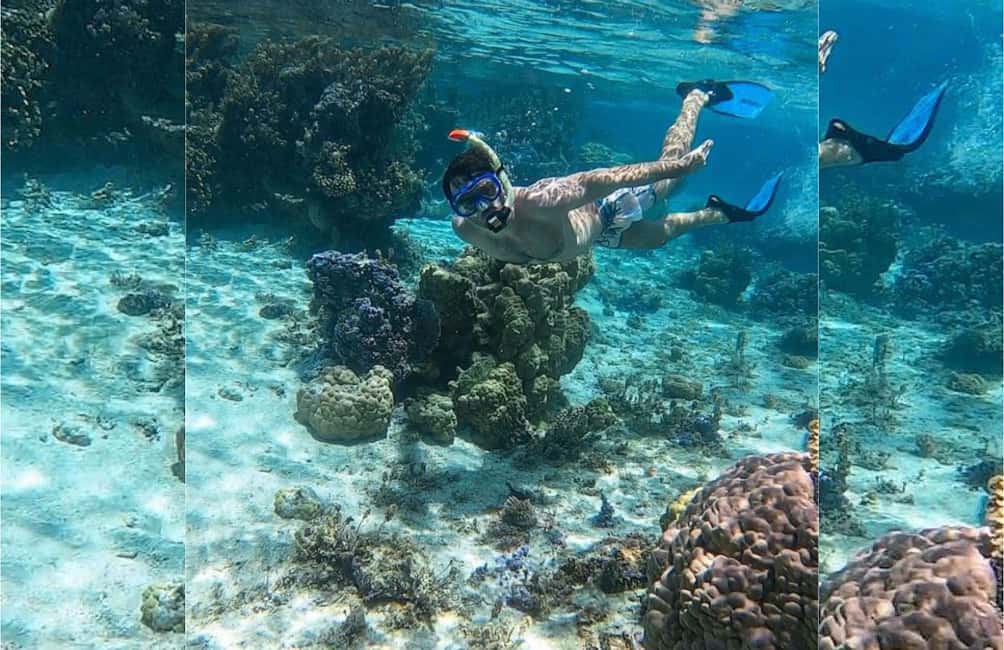 Punta Cana: Full-day Snorkelling Tour in Catalina Island - Key highlights worth your attention