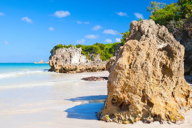 Punta Cana Guided Buggy Adventure Tour - Off-road access from Bávaro: how the logistics shape your day