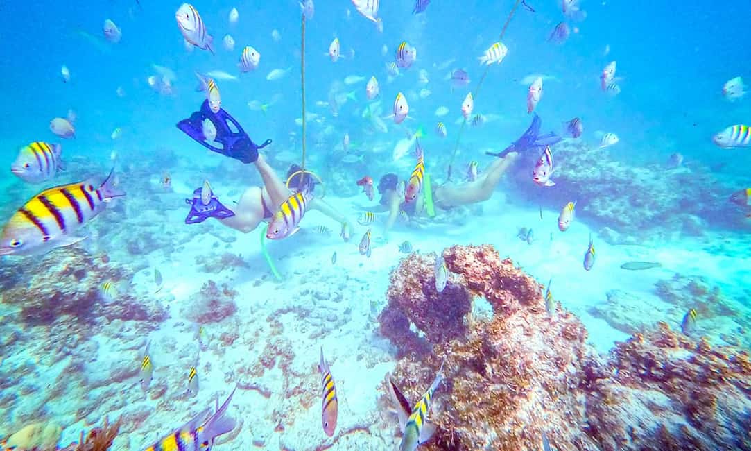 Punta Cana: Guided Power Dive Adventure - Key points before you go
