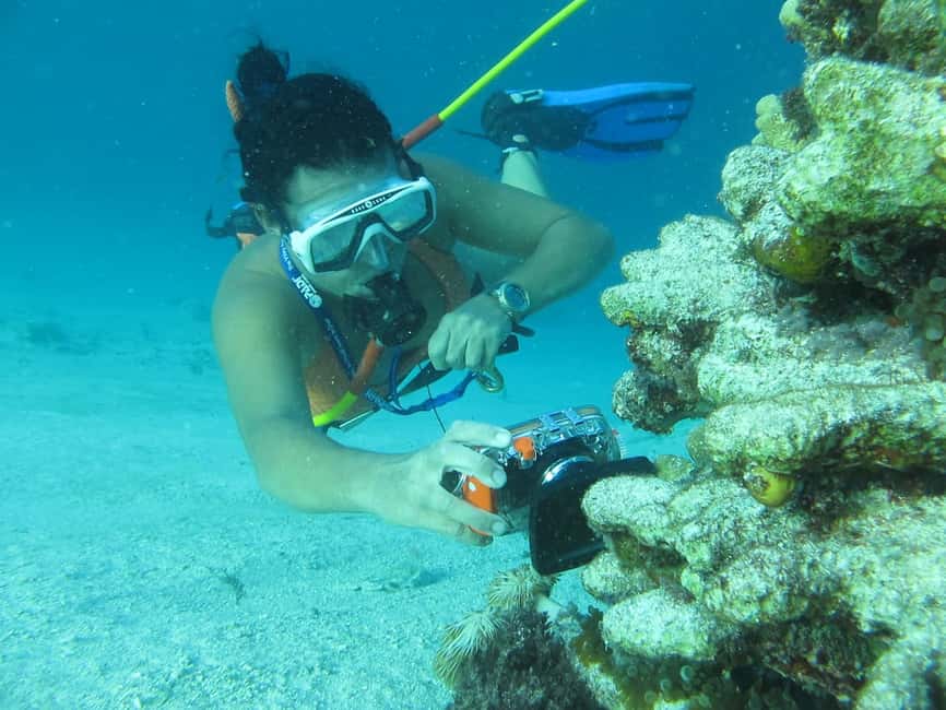 Punta Cana: Guided Power Dive Adventure - Punta Cana’s Bavaro Coast: Why this area makes sense