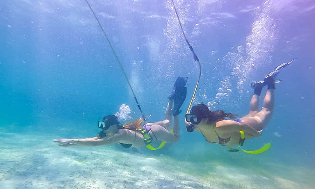 Punta Cana: Guided Power Dive Adventure - The 3-hour rhythm: what the day actually feels like