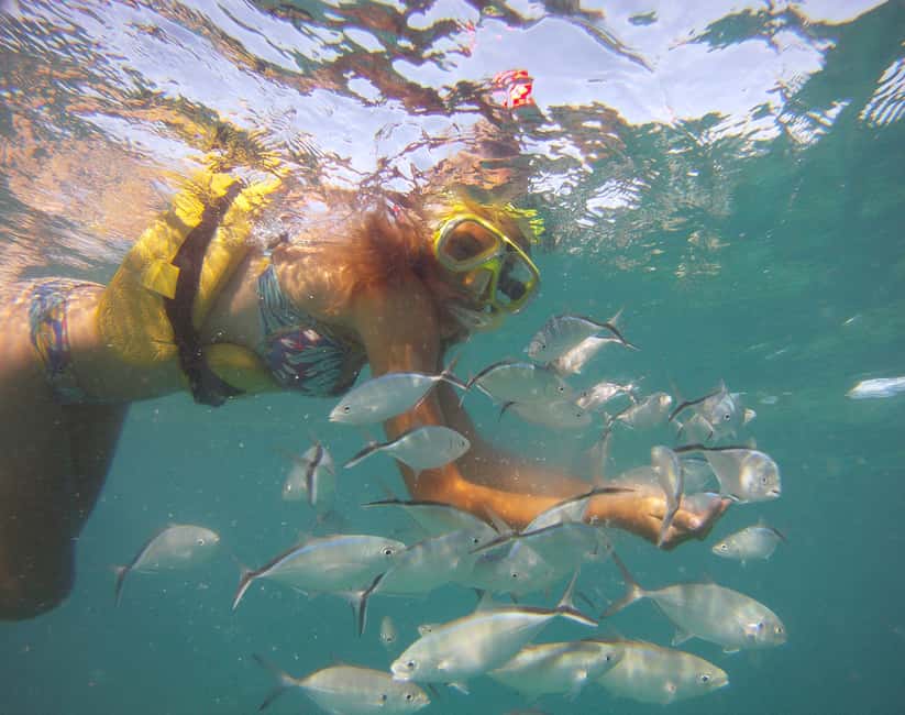 Punta Cana Happy Hour Sailing Cruise - The Bávaro reef: colorful fish, guided options, and how to make it count