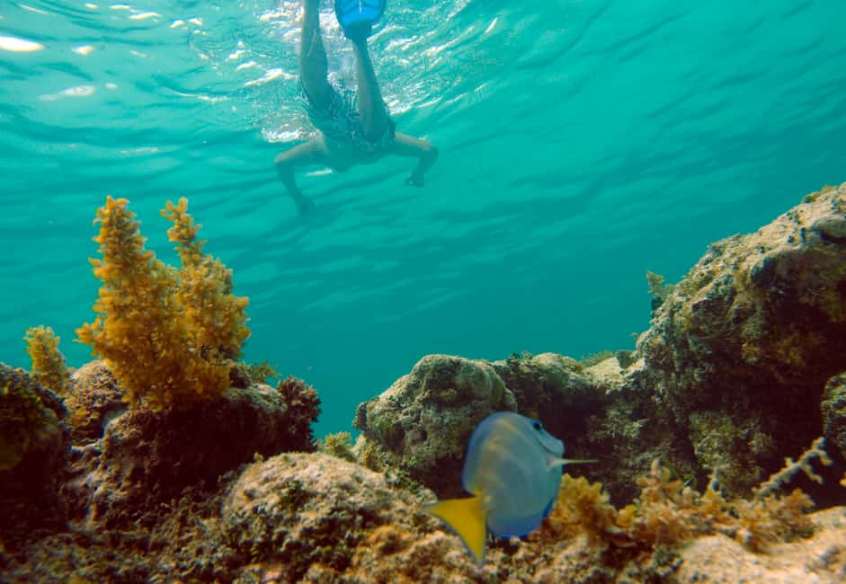Punta Cana Happy Hour Sailing Cruise - Getting to the water: from Cabeza de Toro to the snorkeling site