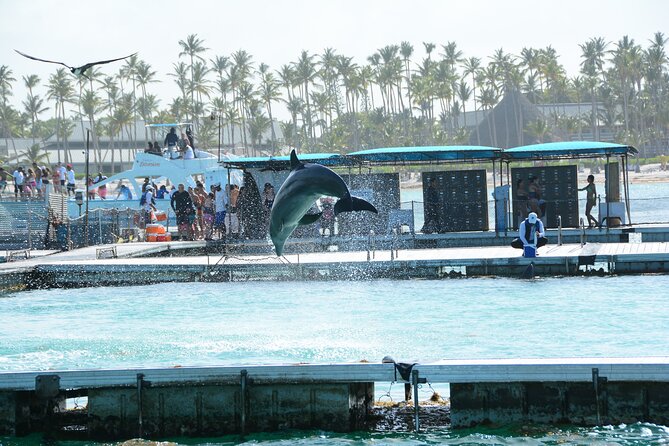 Punta Cana Hip Hop Party Boat with Snorkeling & Unlimited Drinks - The music and staff energy: what people remember most