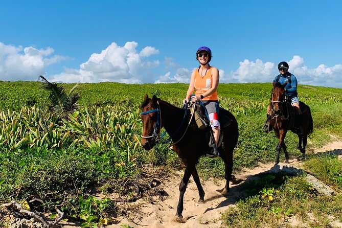 Punta Cana Horseback Ride: Jungle, Macao Beach & Free Pick Up - Price and value: what $36 really buys you