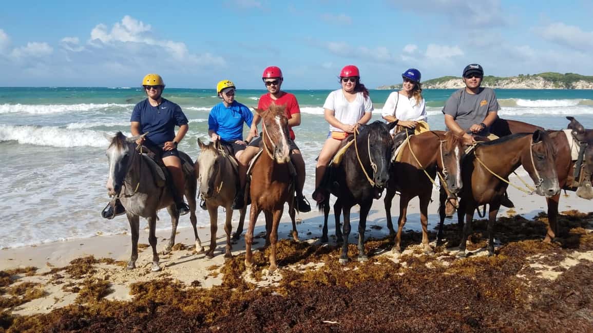 Punta Cana: Horseback Ride to Macao Beach - Getting on the Horse: What the Ride Really Feels Like