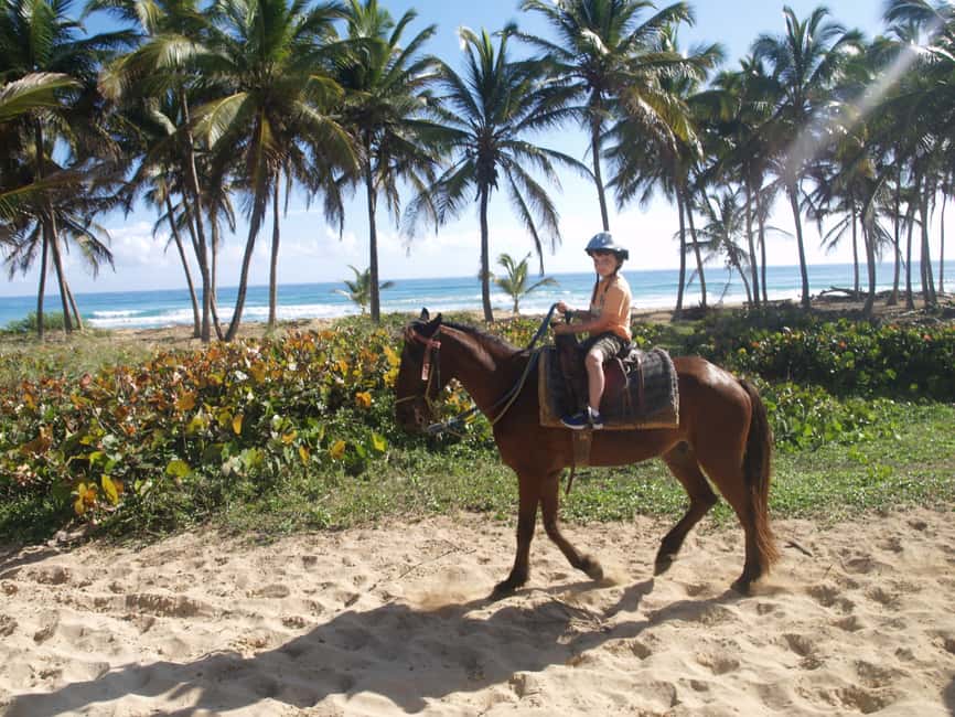 Punta Cana: Horseback Ride to Macao Beach - Through Punta Cana Forest: The Part Where You Can Actually Breathe