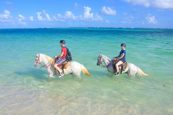 Punta Cana Horseback Riding Adventure - Key Points Worth Knowing Before You Go