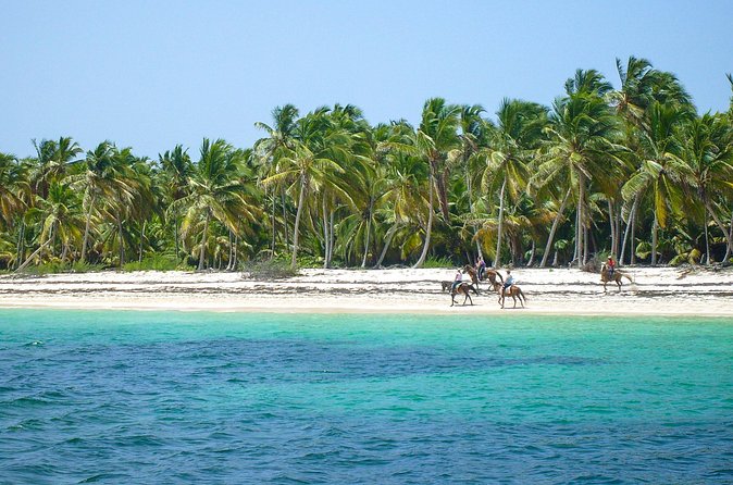 Punta Cana Horseback Riding Adventure - The Beach Moment: Swimming With Your Horse (and What to Expect)