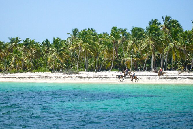 Punta Cana Horseback Riding Adventure - Group Size and Comfort: Why the Max 20 Matters