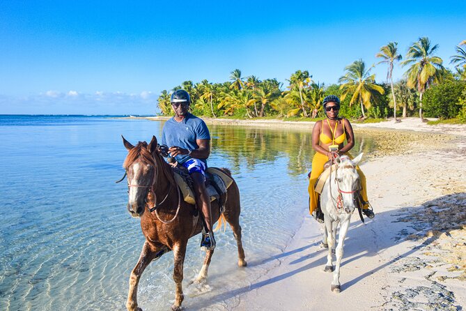 Punta Cana Horseback Riding Adventure - When to Pick Morning vs. Afternoon