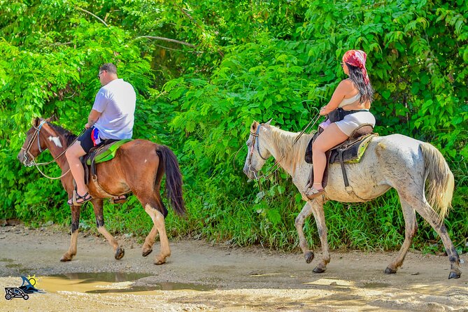 Punta Cana Horseback Riding Adventure on Macao Beach - Price Value: What $50 Covers (And What You Must Bring)