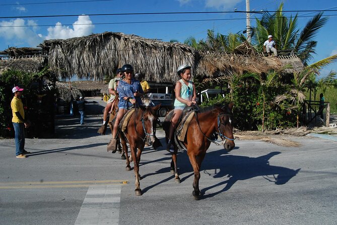 Punta Cana Horseback Riding on the Beach - Punta Cana Beach Horseback Riding: What the Experience Feels Like