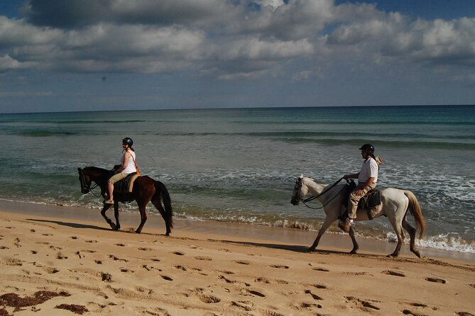 Punta Cana Horseback Riding on the Beach - The Ride Itself: Beaches, Surf Walks, and a River-Ocean Finish