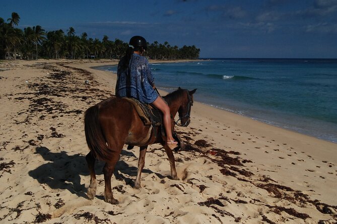 Punta Cana Horseback Riding on the Beach - Wildlife and Water Time: How Close You Really Get