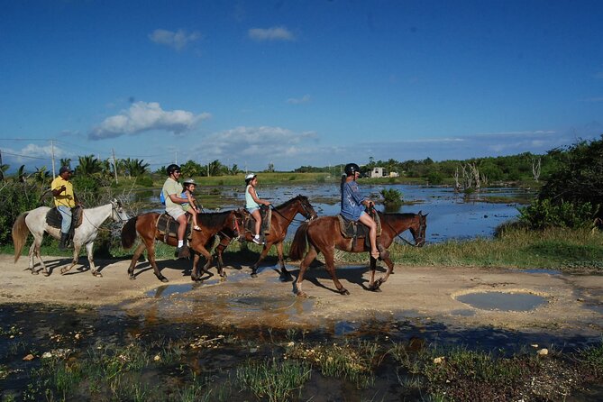 Punta Cana Horseback Riding on the Beach - Ability Level Matters: Beginners, Experienced Riders, and Comfort