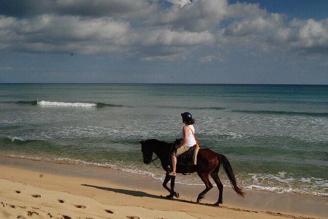 Punta Cana Horseback Riding on the Beach - Small-Group Size: Why Up to 15 People Is a Big Deal