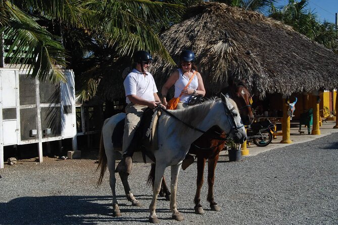 Punta Cana Horseback Riding on the Beach - Getting There: Hotel Pickup from Punta Cana, Bávaro, and Uvero Alto