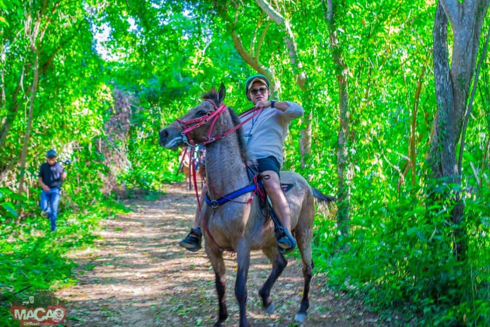Punta Cana Horseback riding & Sunset + beach + free pick-up - Key things to know before you ride