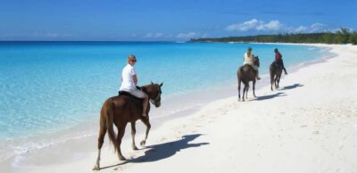 Punta Cana: Horseback Riding through Stunning Beaches - From Your Hotel to the Ranch: Pickup Timing and Vehicle Comfort