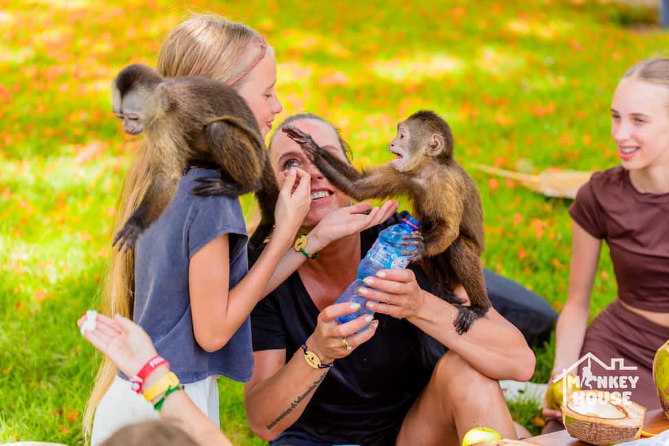 Punta Cana: Interactive Experience at Monkey House - Key points before you go