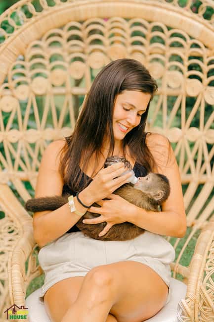 Punta Cana: Interactive Experience at Monkey House - After the monkeys: local store and Dominican handmade souvenirs