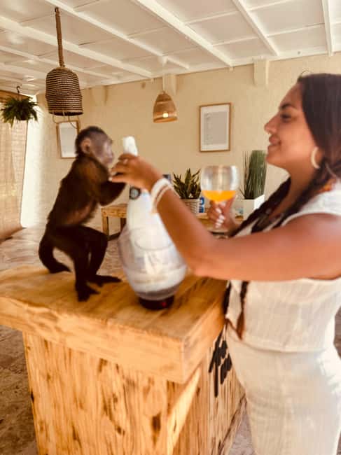 Punta Cana: Interactive Experience at Monkey House - Price and value: is $99 per person worth it?
