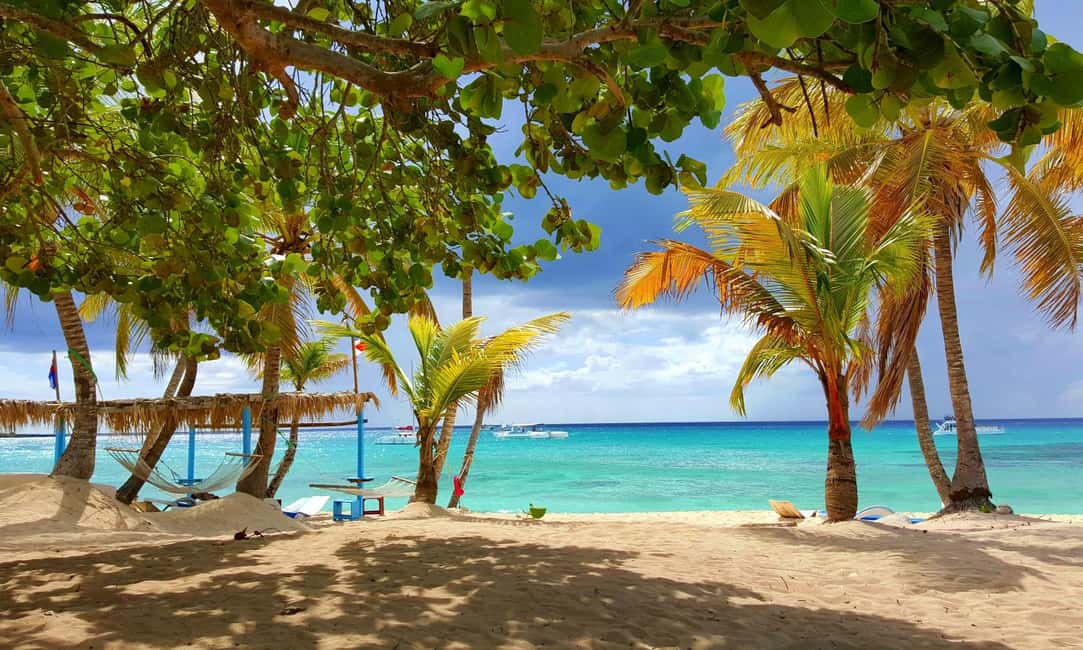 Punta Cana: Isla Catalina Snorkeling Tour with Lunch - 9 hours on Isla Catalina: the big-picture plan